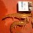 Big Swan Prawns